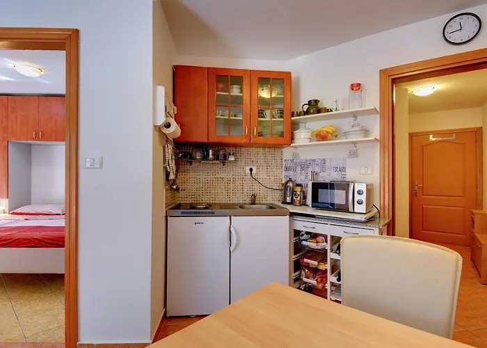 Apartment Sana