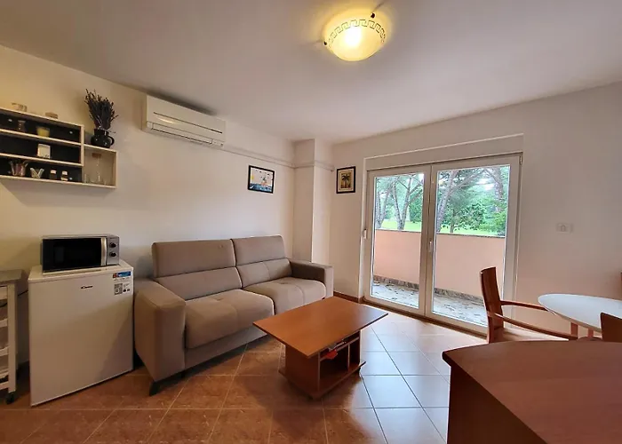 Apartment Sana